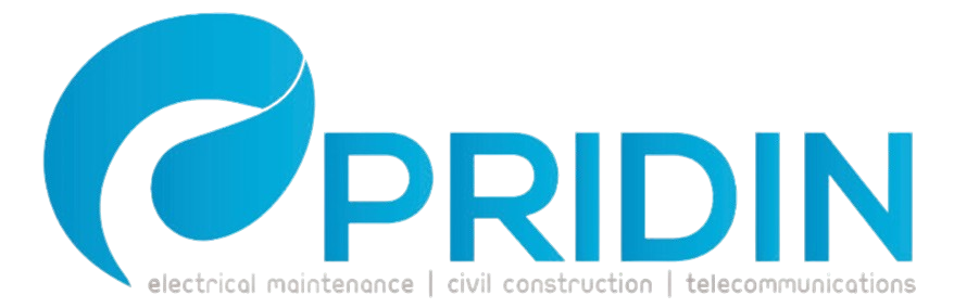 Pridin Group Logo